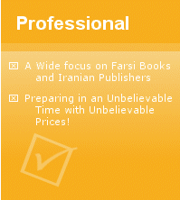 Professional!